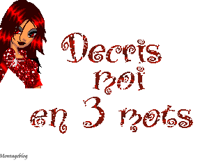 decrit moi en 3 mots