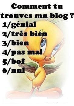 comment trouve tu mon blog